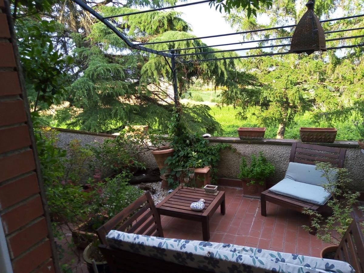 B&B La Gallinella Rossa Baschi Luaran gambar