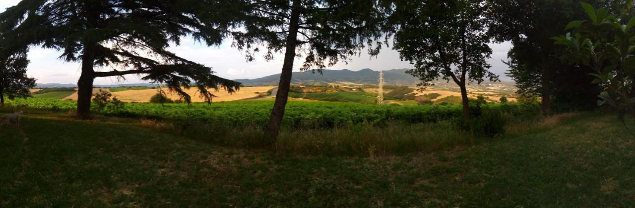 B&B La Gallinella Rossa Baschi Luaran gambar