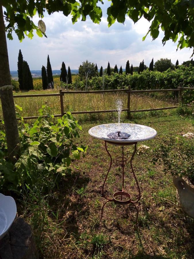 B&B La Gallinella Rossa Baschi Luaran gambar