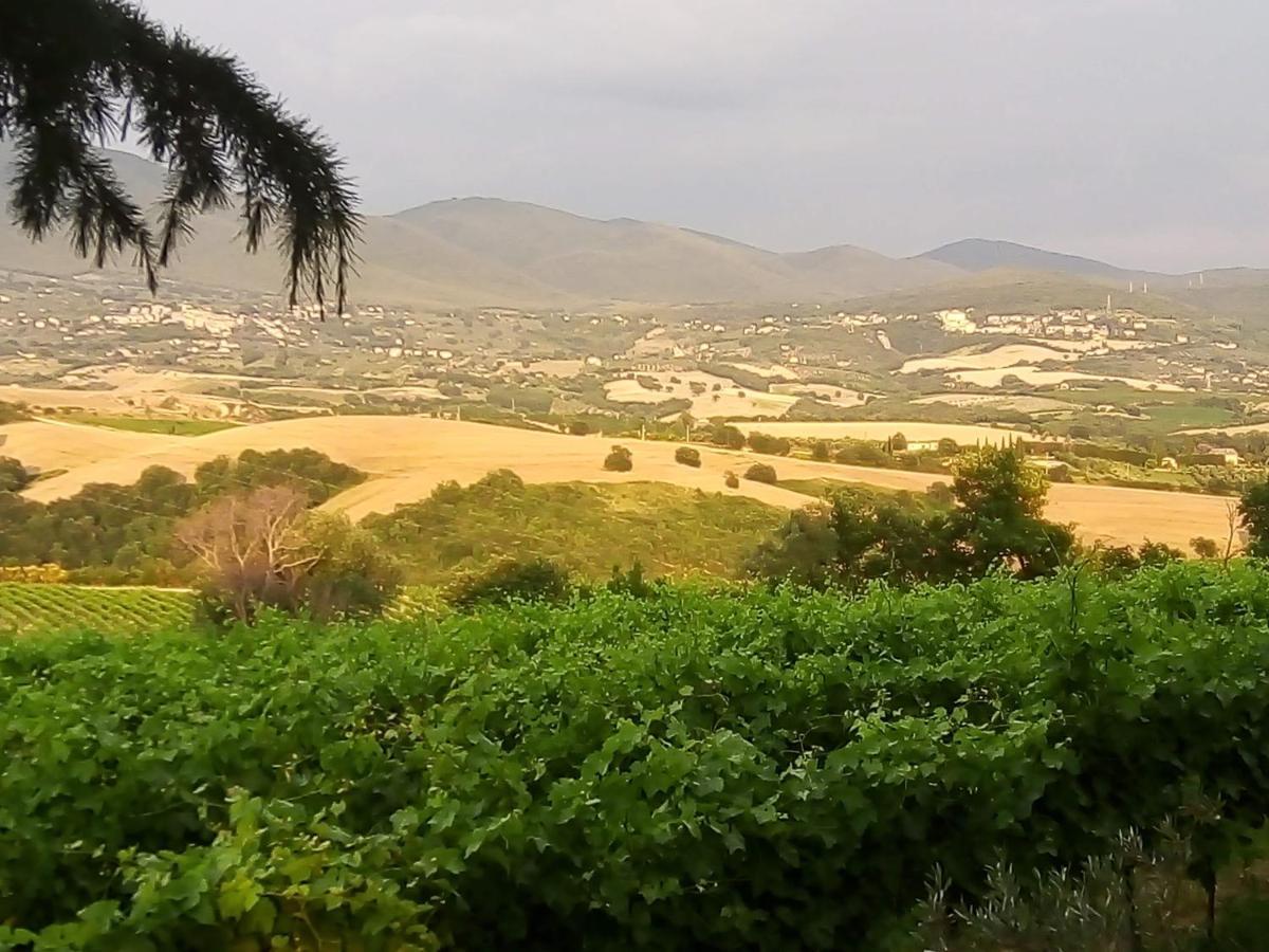 B&B La Gallinella Rossa Baschi Luaran gambar
