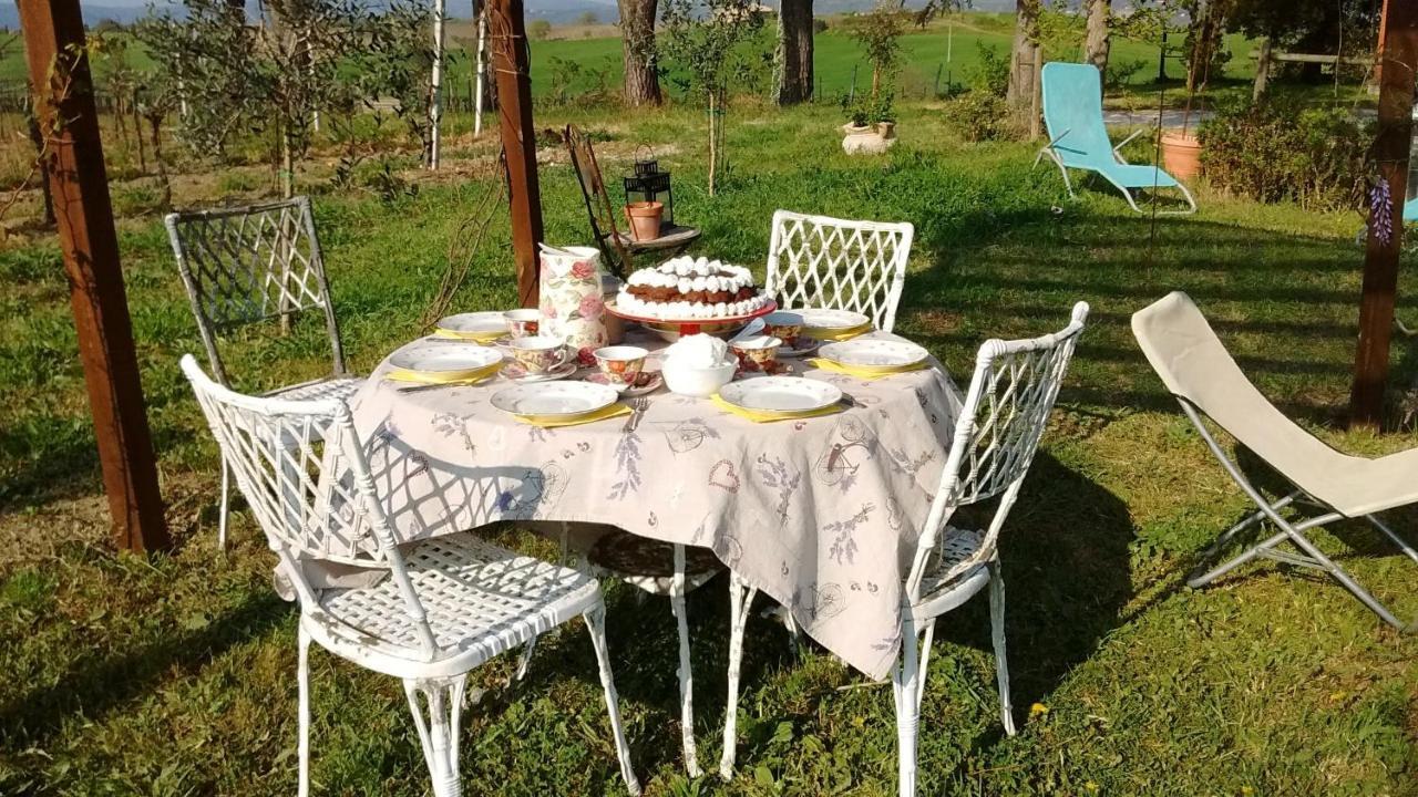 B&B La Gallinella Rossa Baschi Luaran gambar