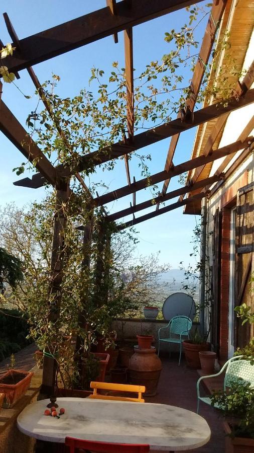 B&B La Gallinella Rossa Baschi Luaran gambar