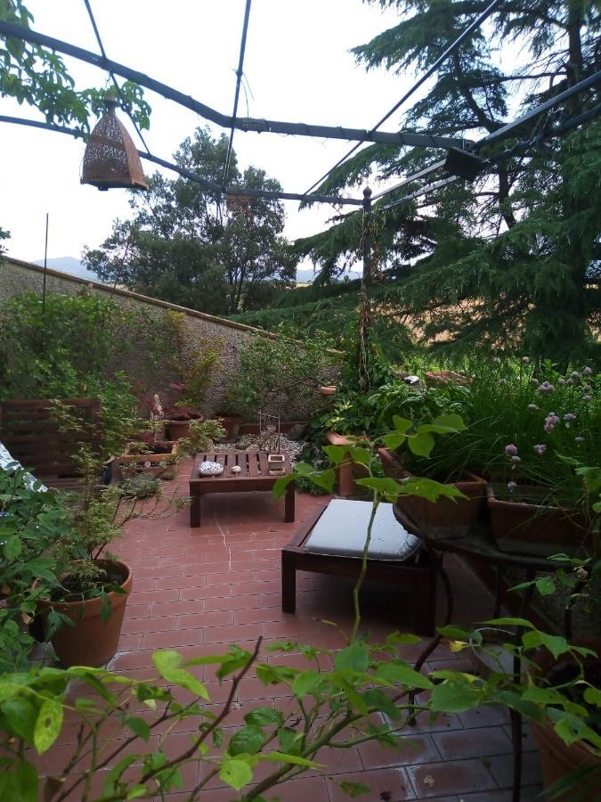 B&B La Gallinella Rossa Baschi Luaran gambar