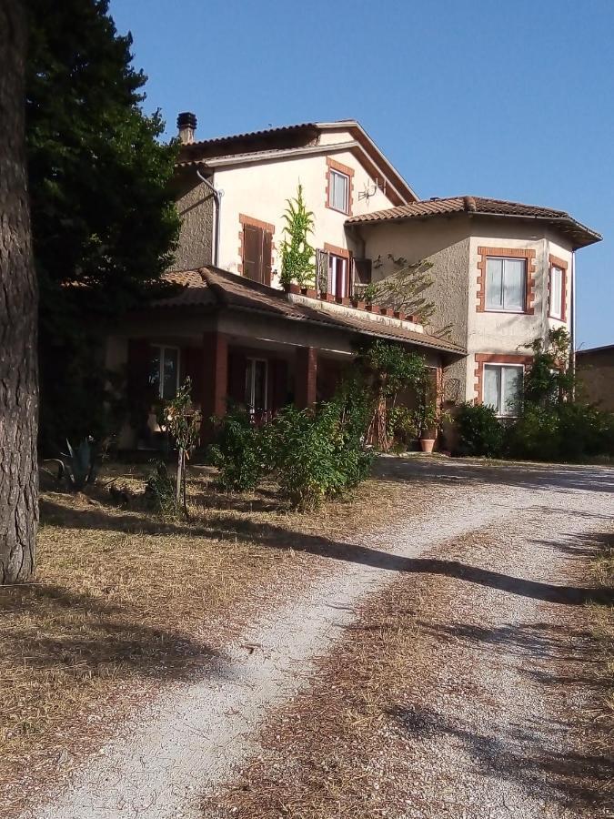 B&B La Gallinella Rossa Baschi Luaran gambar