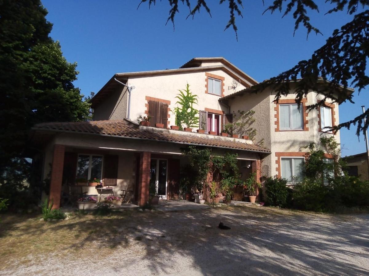 B&B La Gallinella Rossa Baschi Luaran gambar